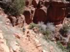 North Kaibab trail (34kb)