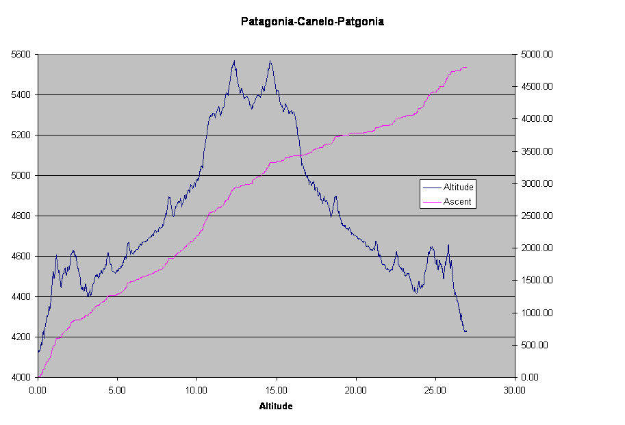 Patagonia-Canelo-Patgonia